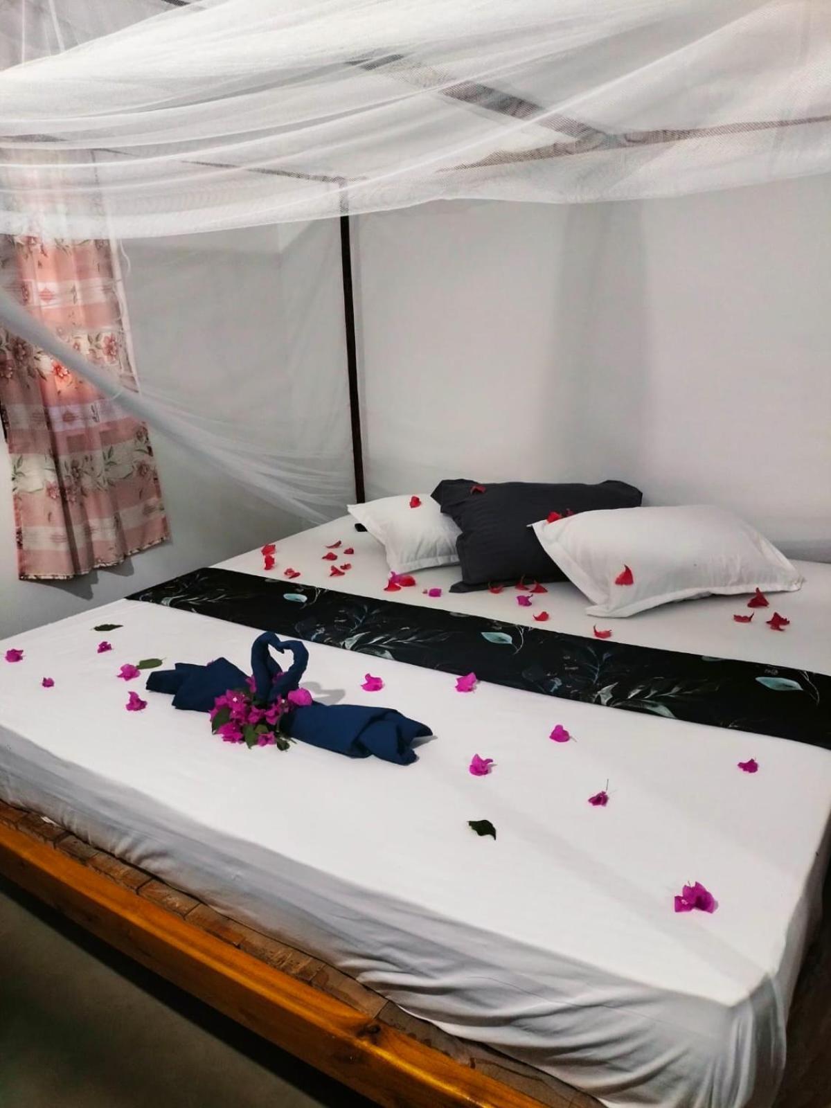 Hostel Costels Arugambay Arugam Bay Pokoj fotografie